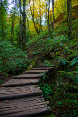 Autumn landscape in Plitvice Park, Croatia