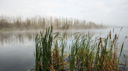 Misty morning on the river, panoramic landscape in the countryside.