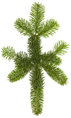 green fir tree isolated on white