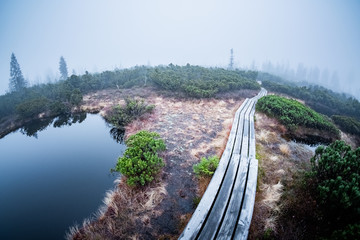 Holzpfad durch das Moor