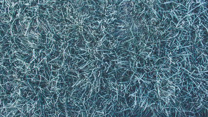 snowy grass with frost texture 