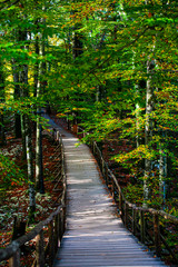 Obraz premium Autumn landscape in Plitvice Park, Croatia