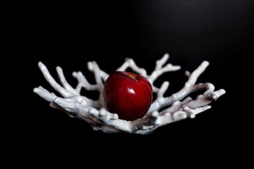 Ripe red apple in white ceramic vase on dark background. Symbol of love, hot heart, passion