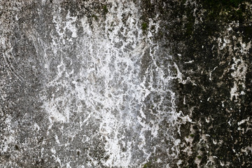 Weathered wall with vein texture. Derelict. Grunge.