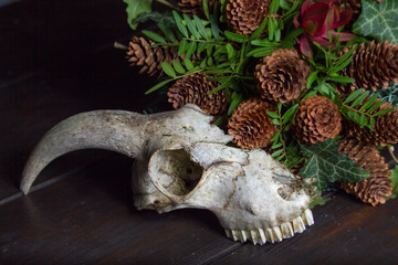 Close-up of an animal skull next to a bouquet on a wooden tabletop, selective focus