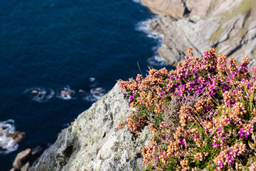 View of a cliff over the sea with good weather in Scotland