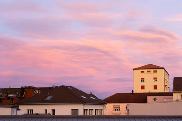 Rose Sunset and the skyline
