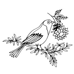 Hand drawn decorative monichrome bird with flower on white. A bird sits on a branch and holds a flower in its beak. Vector background for cards, design, fabric, textile, coloring. Greeting card.