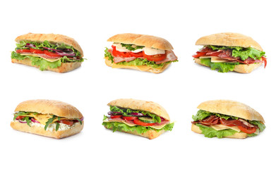 Set of delicious sandwiches on white background