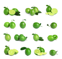 Set of fresh ripe limes on white background