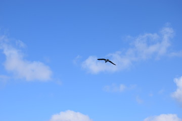 Lanzarote