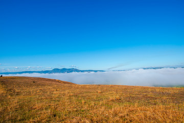 Fototapeta premium Fog on the hill