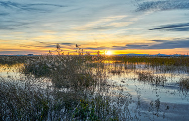 Sunset in the calm waters of the Albufera de Valencia, Spain.