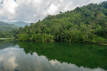 Naklejka na ściany i meble lake in deep forest