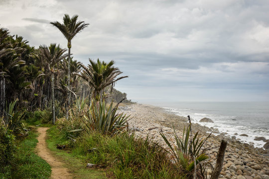 Hiking Heaphy Track