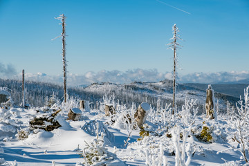 Winterlandschaft im Bayerwald