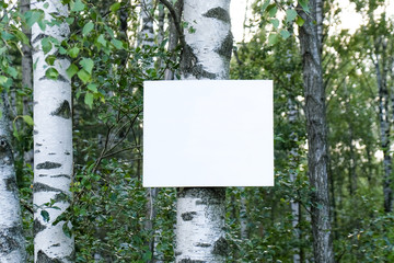 An ad on a tree in a park. A place to advertise. Moke up.