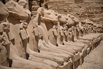 Granite statues of Amun in the form of a ram in the Avenue of Sphinxes at the entrance of Karnak temple complex and Karnak Open Air Museum (about 1250 BC), Luxor, Egypt
