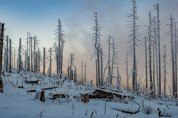 Woklenverhüllte Winterstimmung