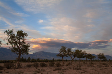The landscape of the mongolian steppe