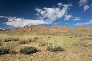 The landscape of the mongolian steppe