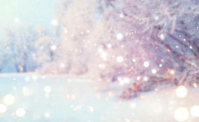 Christmas winter blurred background. Xmas tree with snow, holiday festive background. Widescreen backdrop. New year Winter art design with snowflakes. Nature scene