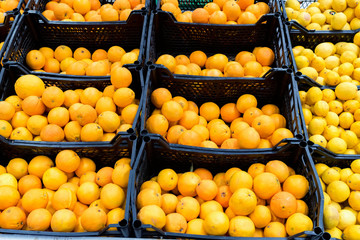 Close up various citrus fruit for sale in supermarket