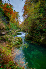 Autumn landscape in the Vintgar cannyon, Slovenia