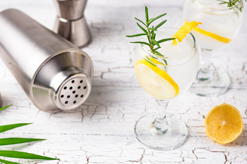 Gin tonic cocktail with lemon