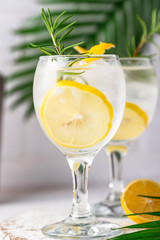 Gin tonic cocktail with lemon