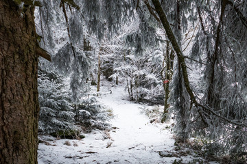 Wanderweg im Winter