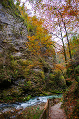 Autumn landscape in the Vintgar cannyon, Slovenia