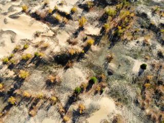 Semi-desert landscape with traces on sand in autumn taken by drone