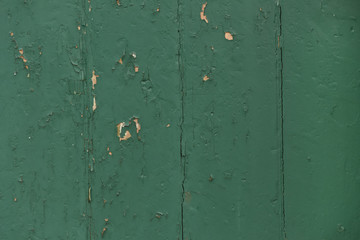 Old wood painted texture. Green wooden background.