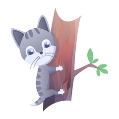 Kitty vector illustration. House domestic cat in position and activitie. The cat climbs on a tree.