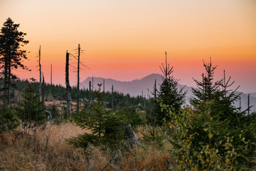 Fototapeta premium Die Busen des Bayerwaldes