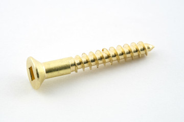 gold screw on white background