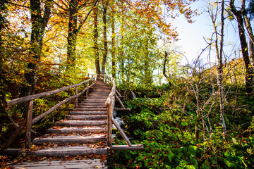 Autumn landscape in Plitvice Jezera Park, Croatia