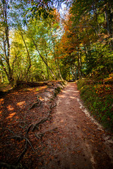 Autumn landscape in Plitvice Jezera Park, Croatia