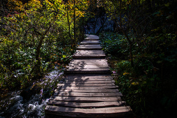 Autumn landscape in Plitvice Jezera Park, Croatia