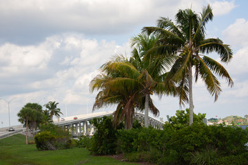 Fototapeta na wymiar bridge and palms with sky and clouds