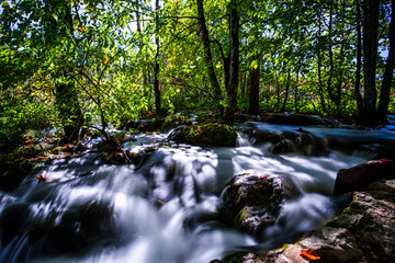 Inside of the natural park