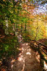 Inside of the natural park
