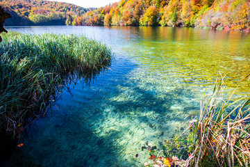 Autumn landscape in Plitvice jezera park, Croatia