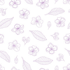 Medicinal herbs collection. Vector hand drawn seamless pattern with medicinal plant Cassia fistula