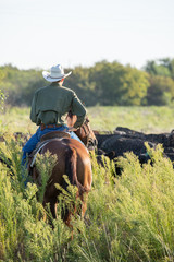 Working Texas Cowboy