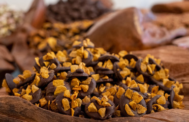 Handmade chocolates beautifully presented in wooden vessels at the Dark Sugars shop in Brick Lane, London, UK. Photographed at Christmas time.