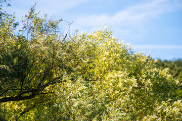 Inside of the natural park