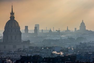 Fototapeta premium PARIS DEPUIS LA TOUR EIFFEL