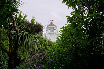 lighthouse through tropical trees